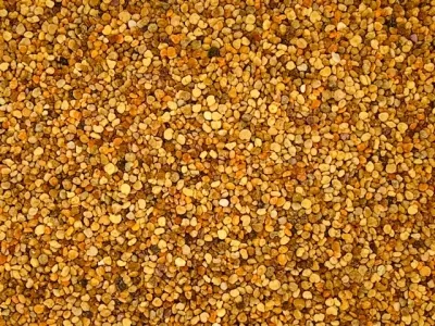 Bijenpollen