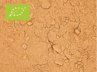 Camu Camu poeder biologisch