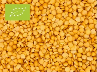 Linzen geel split biologisch