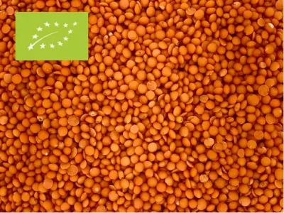 Linzen rood biologisch