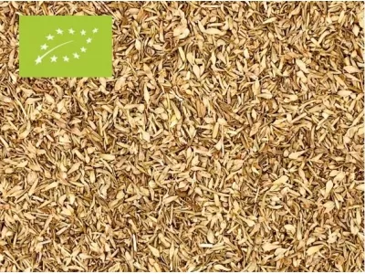 Oregano biologisch